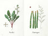 bunka syuppann Garden of vegetables picture book Kazuko Aoki of embroidery NEW_5