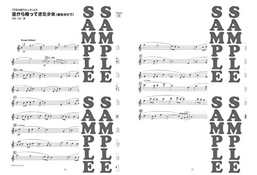 Happily Indulge Flute (Studio Ghibli Works) "From Nausicaa to Marnie" NEW_5