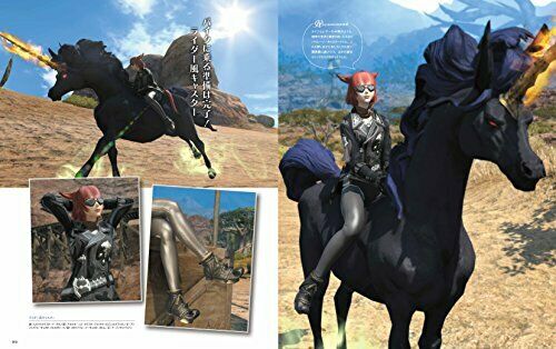 FINAL FANTASY XIV Eorzea Collection 2016-2017 (Art Book) NEW from Japan_2
