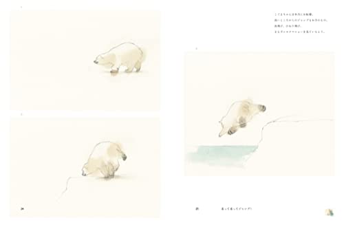 Polar Bear, Sometimes Panda (Art Book) Watercolor illustration collection NEW_2