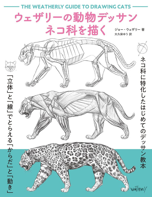 Graphicsha Weatherly's Animal Drawing of the Feline Family. (Book) Joe Weatherly_1