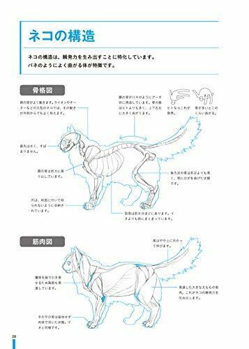 Learning from Real Animals Monster Design Technique (Book) NEW from Japan_10