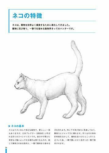 Learning from Real Animals Monster Design Technique (Book) NEW from Japan_6