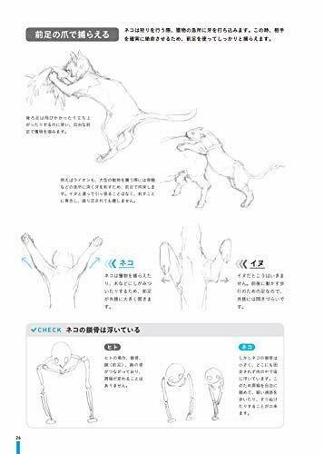 Learning from Real Animals Monster Design Technique (Book) NEW from Japan_8