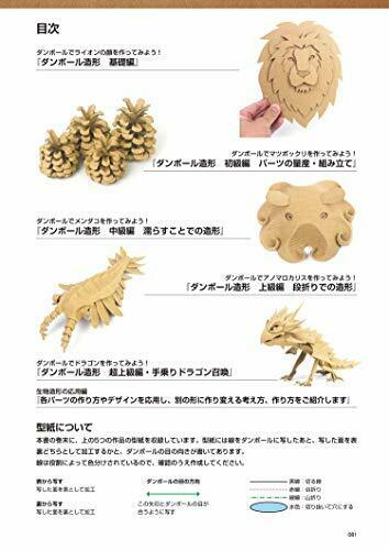 Shinkigensha Cardboard Art Works (Art Book) NEW from Japan_4