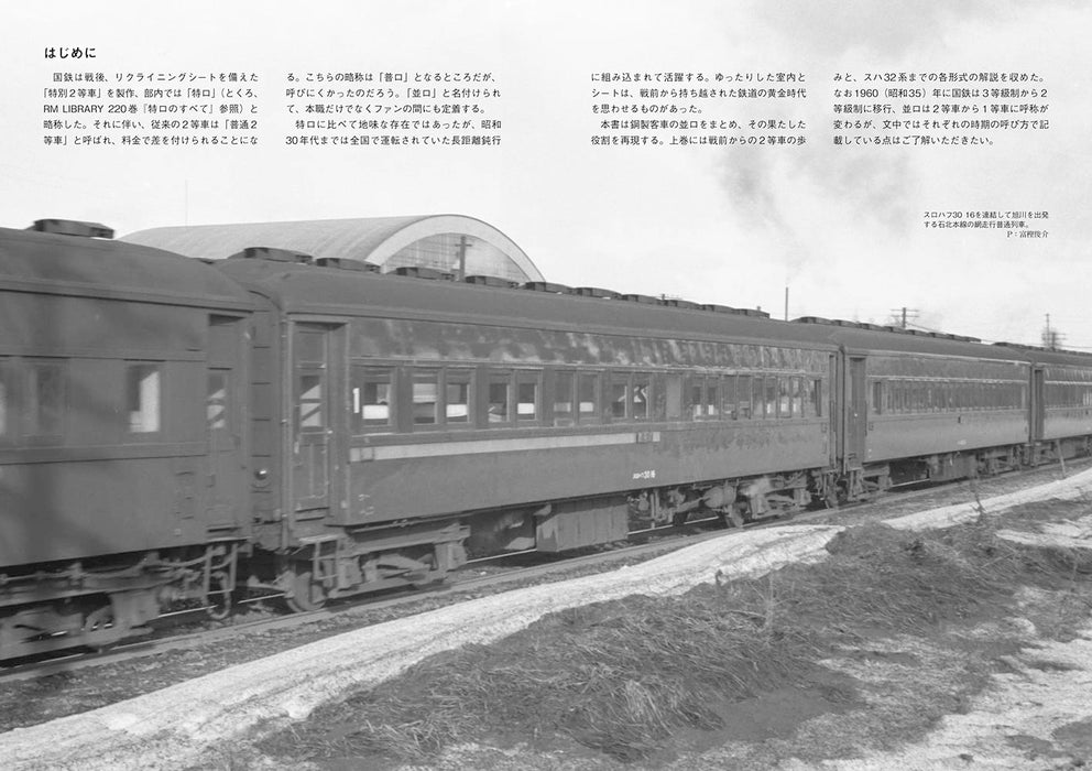 RM Library No.274 All about the NamiRO Vol.1 (Book) Neko Publishing Soft Cover_2