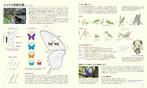 Beauty Butterfly Picture Book (Art Book) NEW from Japan_2