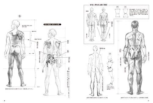 Basics for Drawing Person Quickly - Male Book from Japan_3