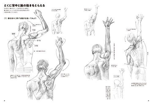 Basics for Drawing Person Quickly - Male Book from Japan_5