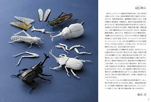 Realistic Insects Made With Tissue (Book) NEW from Japan_2