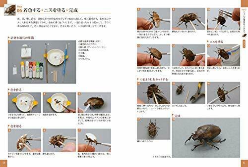 Realistic Insects Made With Tissue (Book) NEW from Japan_9