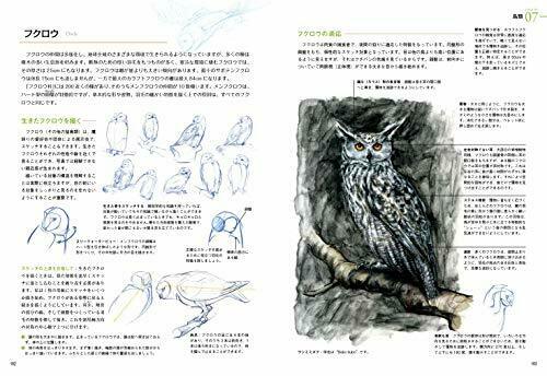 Hobby Japan How to draw wild animals Book NEW from Japan_10