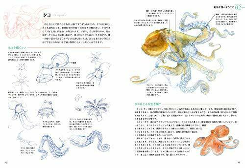 Hobby Japan How to draw wild animals Book NEW from Japan_2