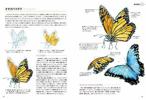 Hobby Japan How to draw wild animals Book NEW from Japan_4