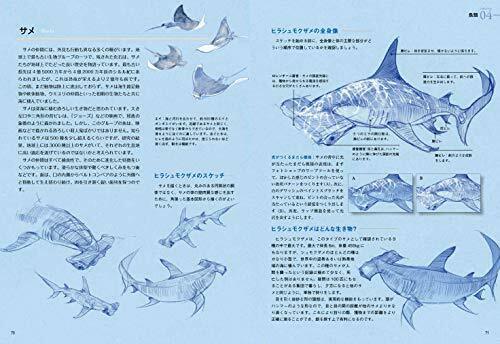 Hobby Japan How to draw wild animals Book NEW from Japan_5