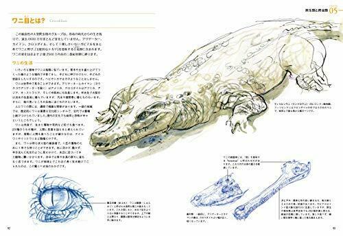 Hobby Japan How to draw wild animals Book NEW from Japan_7