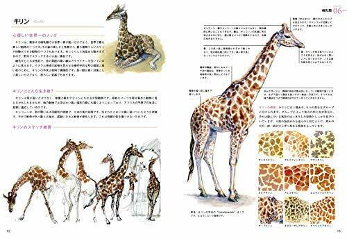 Hobby Japan How to draw wild animals Book NEW from Japan_8