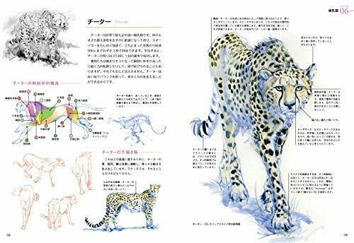 Hobby Japan How to draw wild animals Book NEW from Japan_9
