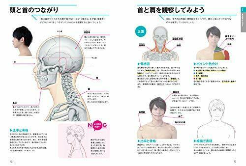 Understand with Pictures and Illustrations How to Draw the Neck,Shoulders & Arms_2