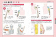 Understand with Pictures and Illustrations How to Draw the Neck,Shoulders & Arms_6