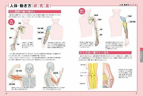 Understand with Pictures and Illustrations How to Draw the Neck,Shoulders & Arms_6