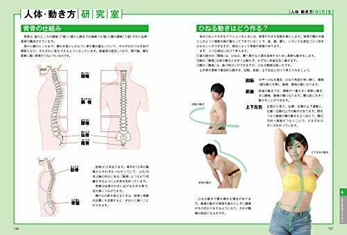 Understand with Pictures and Illustrations How to Draw the Neck,Shoulders & Arms_8