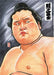 Hobby Japan Sumo Illustrator Kototsurugi Grand Sumo Art Book NEW_2