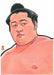 Hobby Japan Sumo Illustrator Kototsurugi Grand Sumo Art Book NEW_3