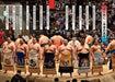 Enjoy Sumo at Home (Book) Enjoy more "watching at home" Hobby Japan Sumo Club_3