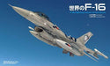 Famous Battle Plane in the World F-16 'Fighting Falcon' Latest Edition Book_2