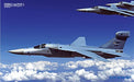 Famous Battle Plane in the World F-111 Aardvark(Book)World famous machine series_2