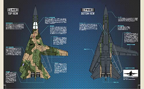 Famous Battle Plane in the World F-111 Aardvark(Book)World famous machine series_5