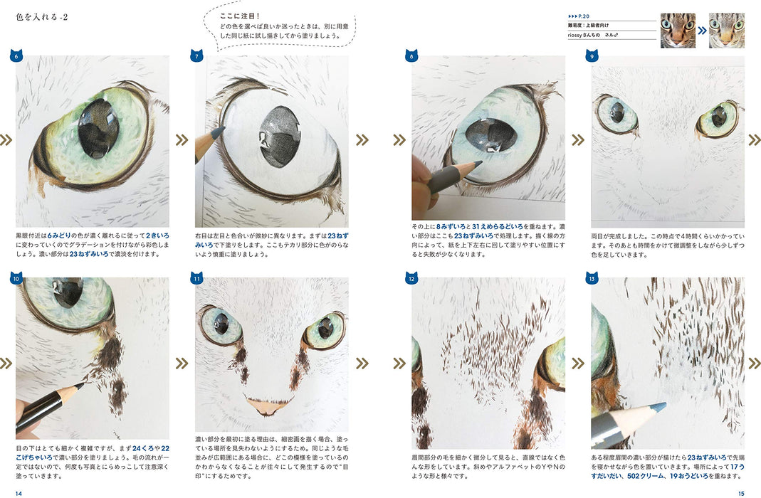 How to Draw My Cat Just like a Photo with Color pencil Technique Guide Book NEW_3