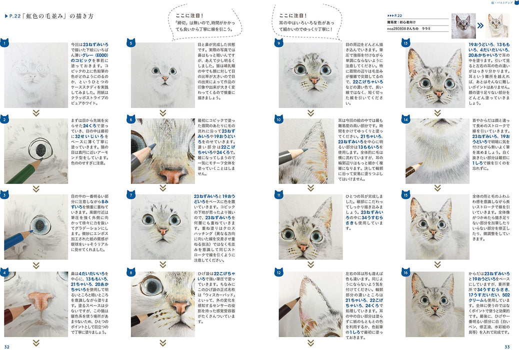 How to Draw My Cat Just like a Photo with Color pencil Technique Guide Book NEW_5