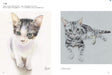 How to Draw My Cat Just like a Photo with Color pencil Technique Guide Book NEW_6