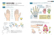 How to Draw Hand pose collection practical recipe Book Manga Anime Comic NEW_2
