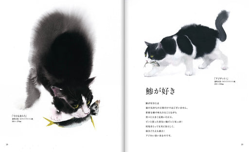 Yutaka Murakami Cat Watercolor How to Painting Guide Book Nichibou Publishing_2