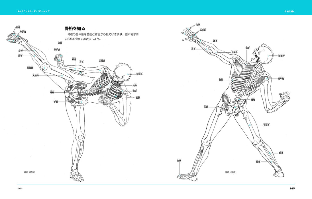 How to draw Dynamic Pose Drawing Freehand Manga Anime Art Technique Book NEW_8