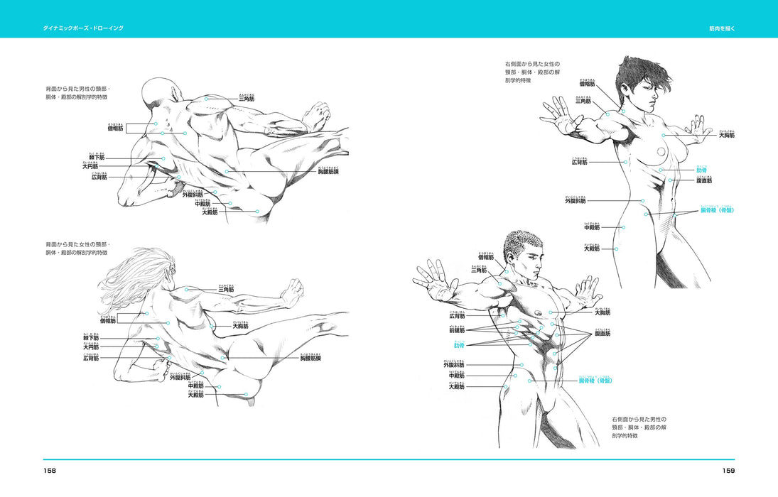 How to draw Dynamic Pose Drawing Freehand Manga Anime Art Technique Book NEW_9