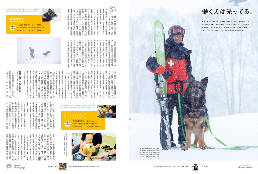 BRUTUS Special Edition Enlarged and Revised Edition It's a dog. Japan Magazine_3