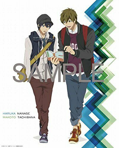 Pony Canyon Free! -Eternal Summer- Official Fanbook (Art Book) NEW from Japan_3