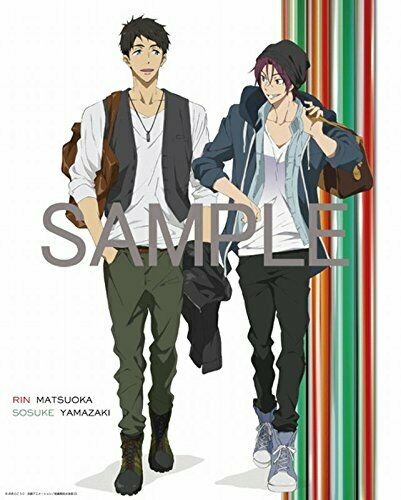 Pony Canyon Free! -Eternal Summer- Official Fanbook (Art Book) NEW from Japan_5