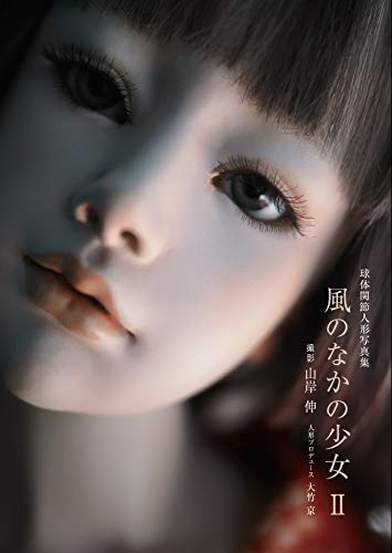 Girl in the Wind II Ball-jointed doll photo book Yamagishi Shin Otake Kyo NEW_1