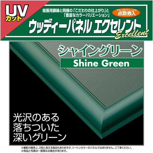 Epoch Wooden Puzzle Frame Excellent Shining Green 26x38cm Panel No.3 UV Cut NEW_2