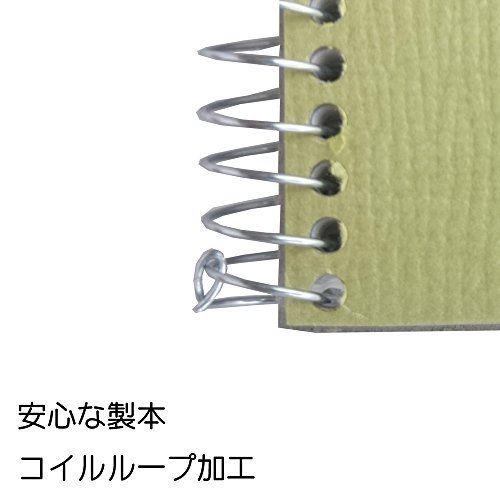 Maruman Sketch Book Olive Series F6 Atsugi Stretching Paper 20 S86 NEW_3