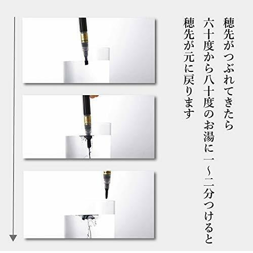 Pentel Fude Brush Calligraphy Pen Extra Fine Black XFL2F Japan NEW_4