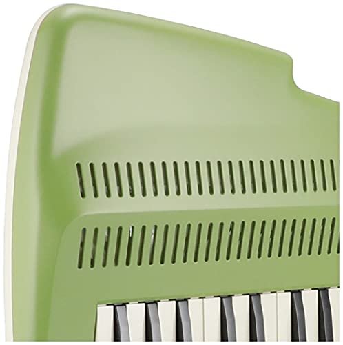 SUZUKI keyboard recorder Andean andes A-25F green The sound of the whistle NEW_4