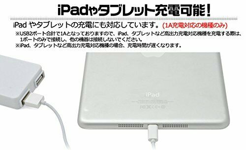 PLATA USB charger AC adapter 2 port smartphone iPhone PSE outlet 2-neck  NEW_6