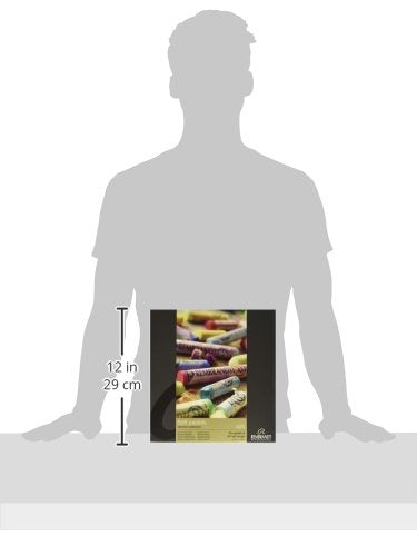 Tarensu Rembrandt soft pastel 120 color set (Normal size 60, half size 60) NEW_2