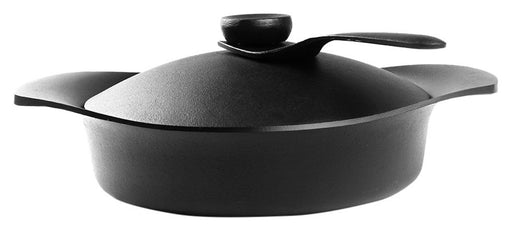 Yanagi Sori Nanbu Tekki Iron Pan Shallow 22cm with Iron Lid, Handle 31334220 NEW_1